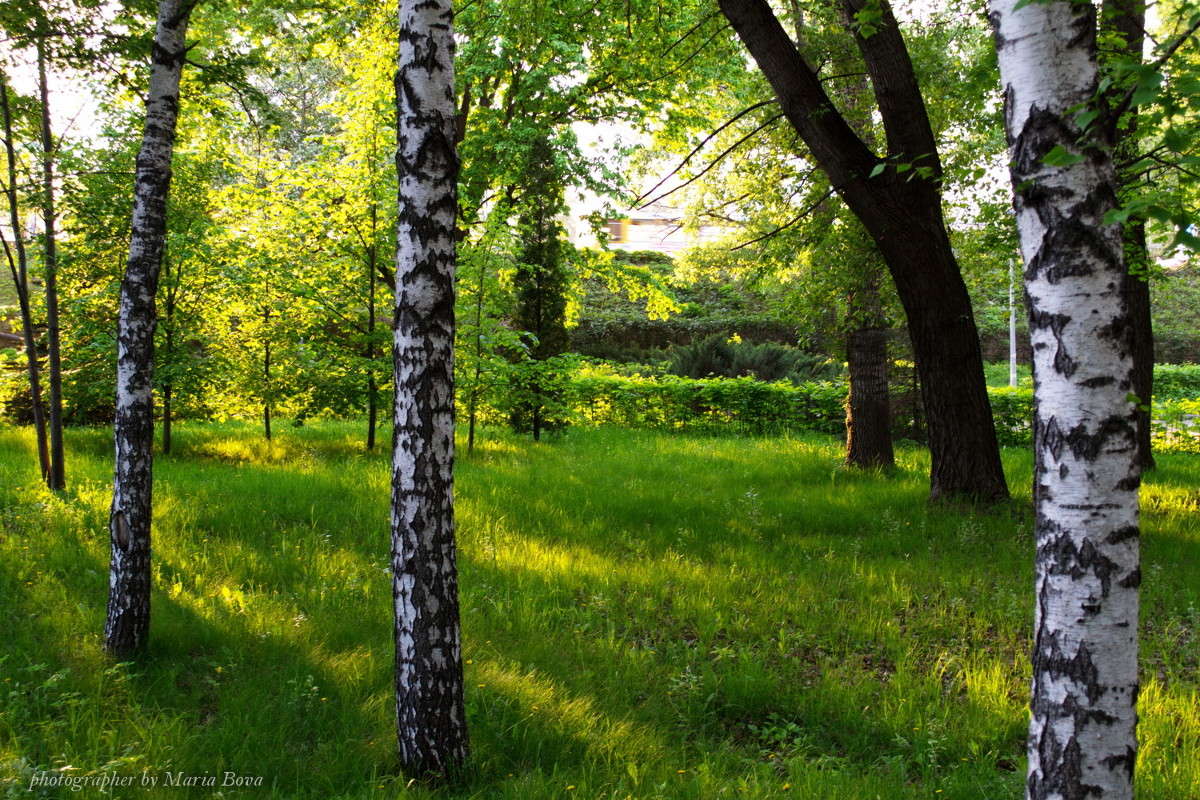 ... ����� ����� ���� �� PhotoGeek.ru #������ ��� �������