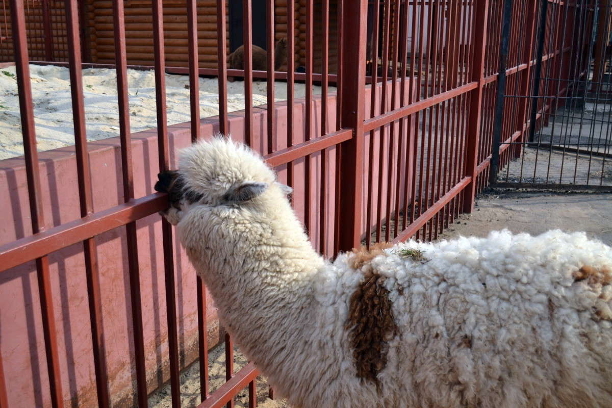 ������� ��������! ����� ����� ���� �� PhotoGeek.ru #�������� ���