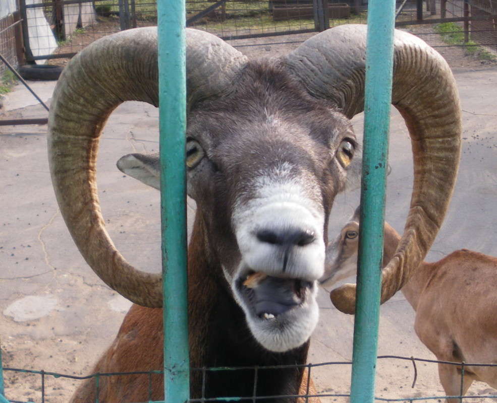 �������, � � �� ��� ������! ����� ����� ���� �� PhotoGeek.ru #�������� ���