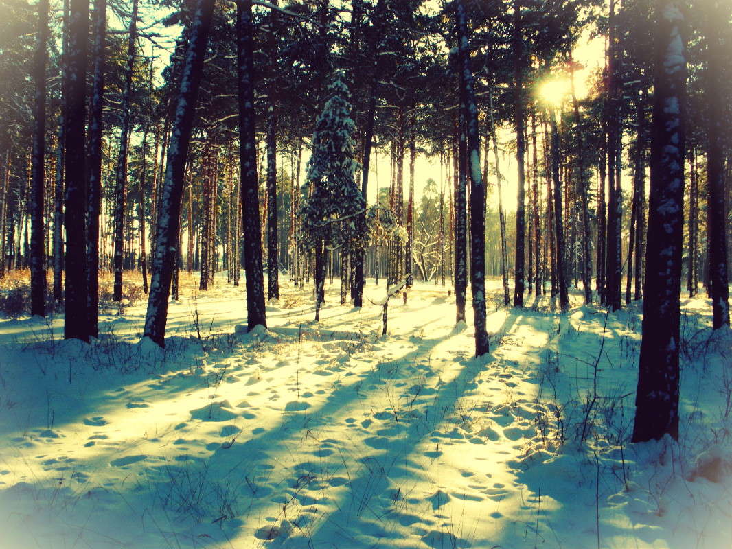 ���. �������. ������. ����� ����� ���� �� PhotoGeek.ru #������ ��� �������