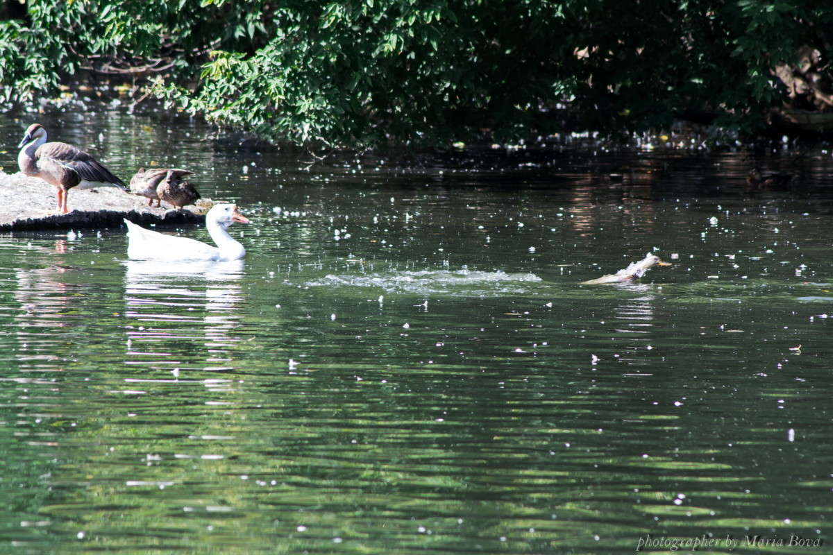 ��� �� ������� ����� ����� ���� �� PhotoGeek.ru #�������� ���