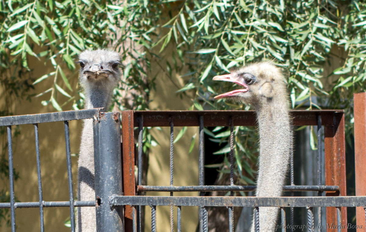 �� ��� �� ����!!! ����� ����� ���� �� PhotoGeek.ru #�������� ���