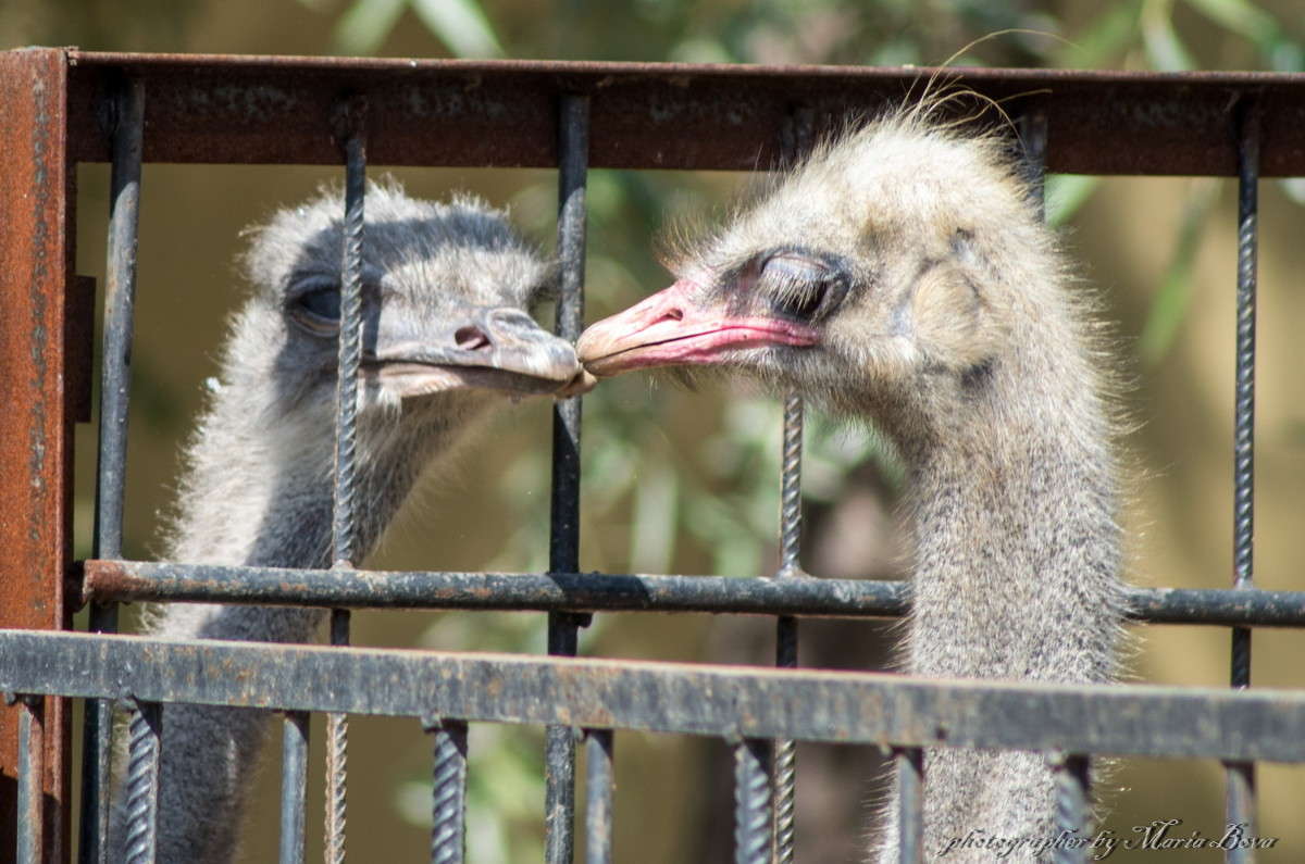 ���������� ����� ����� ���� �� PhotoGeek.ru #�������� ���