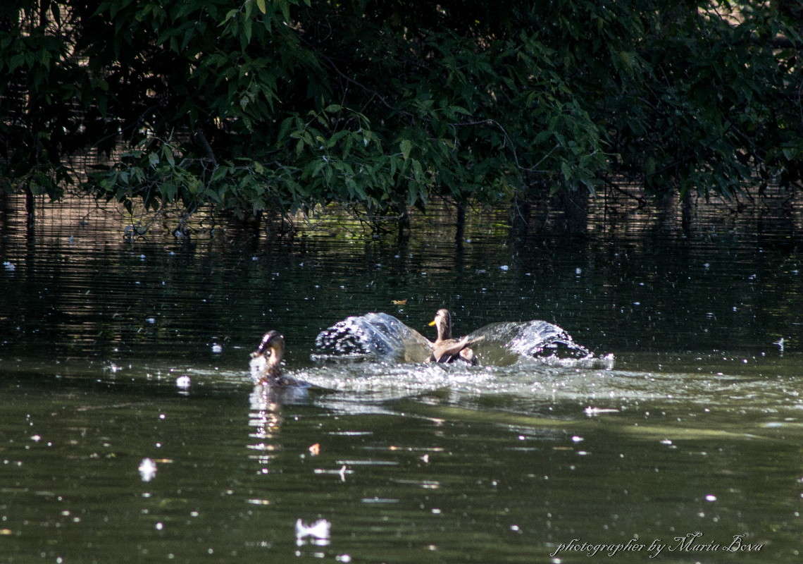 �������� ����-����� ����� ����� ���� �� PhotoGeek.ru #�������� ���