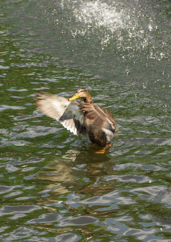 ����� �� ���� ����� ����� ���� �� PhotoGeek.ru #�������� ���