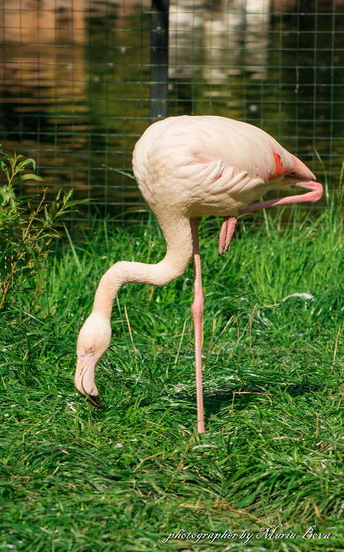 ���� ����� �� ����� ����� ����� ���� �� PhotoGeek.ru #�������� ���