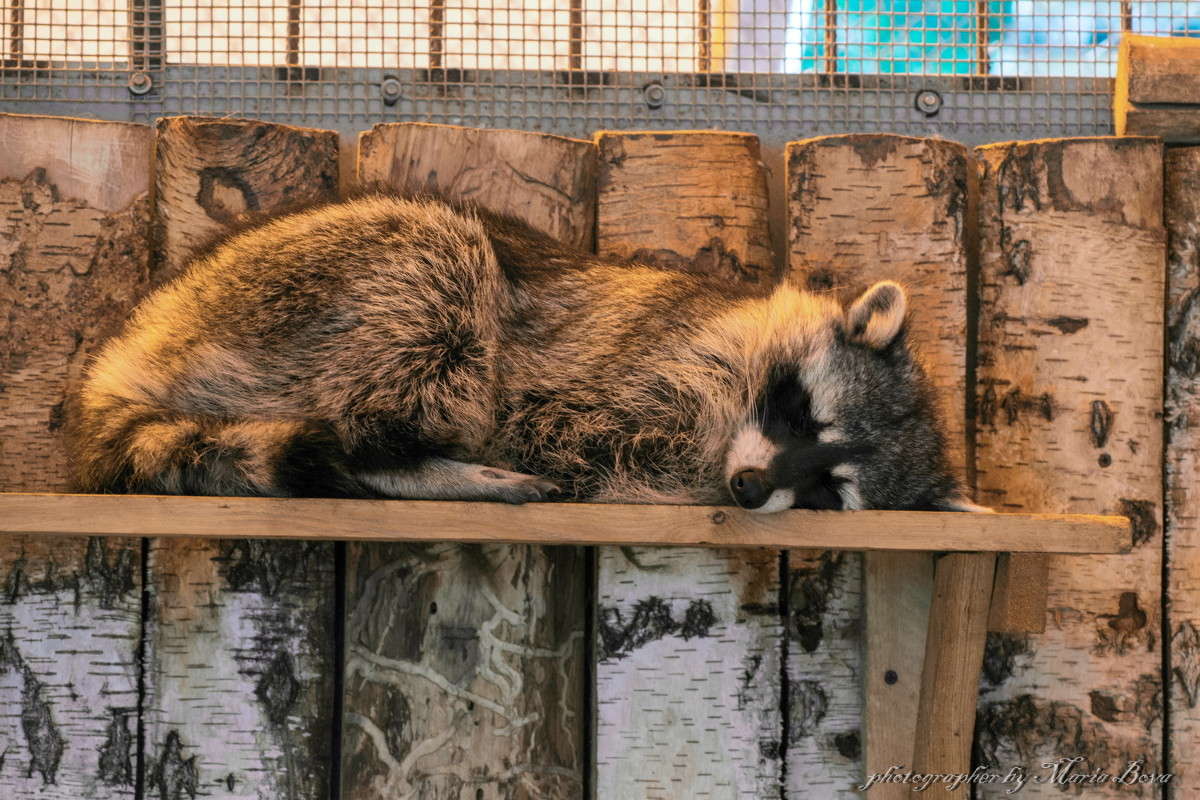 ���� ������� �������� ����� ����� ���� �� PhotoGeek.ru #�������� ���