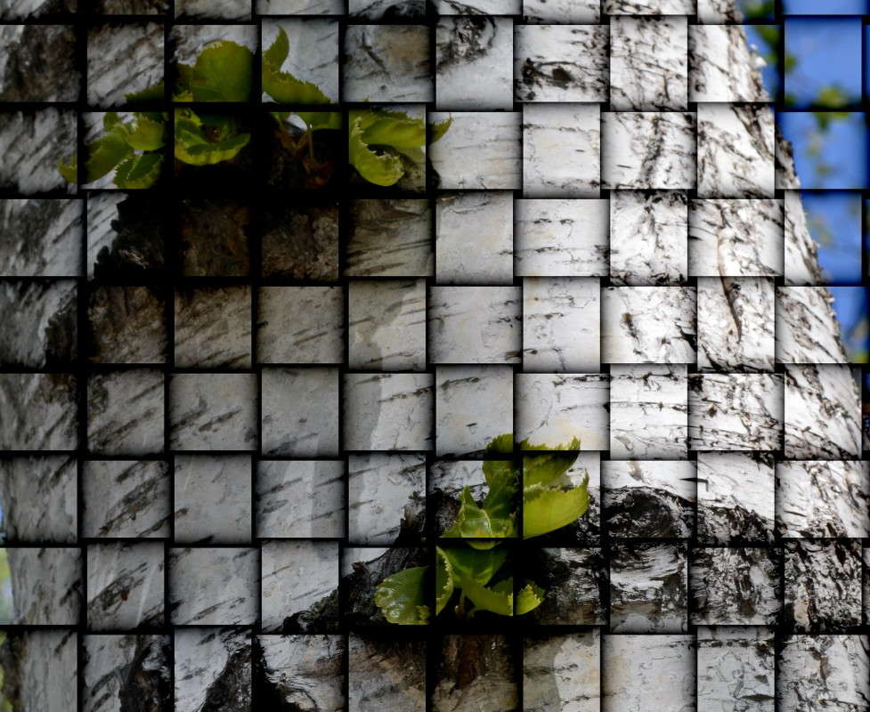 ... ����� ����� ���� �� PhotoGeek.ru #������