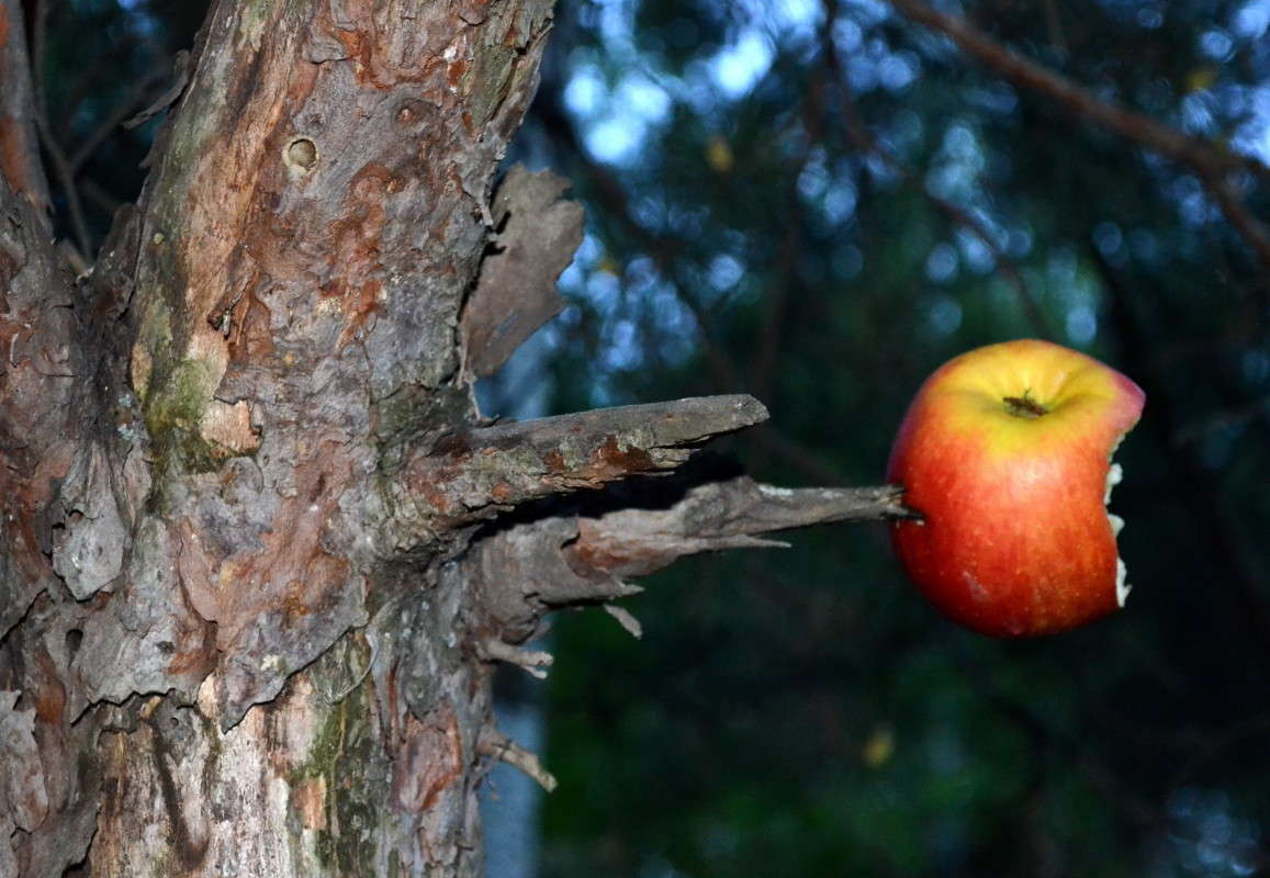 ����� ���� ��� ����� ����� ���� �� PhotoGeek.ru #������ ��� �������