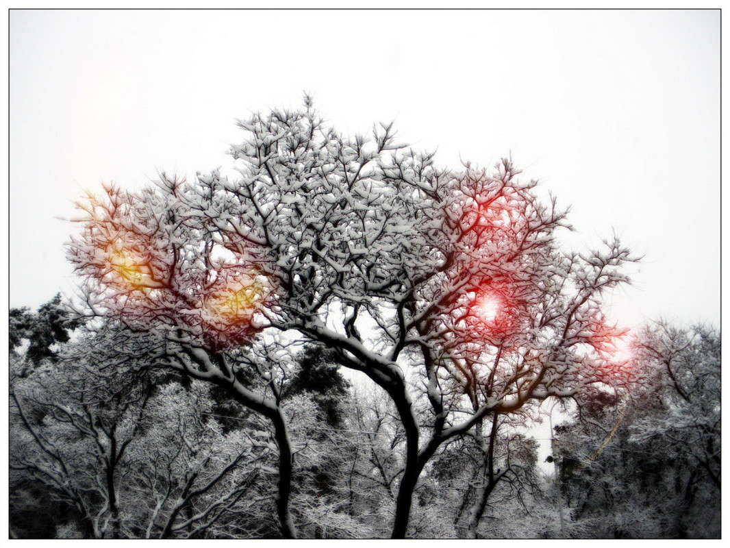 ������������ ������� ����� ����� ���� �� PhotoGeek.ru #������ ��� �������