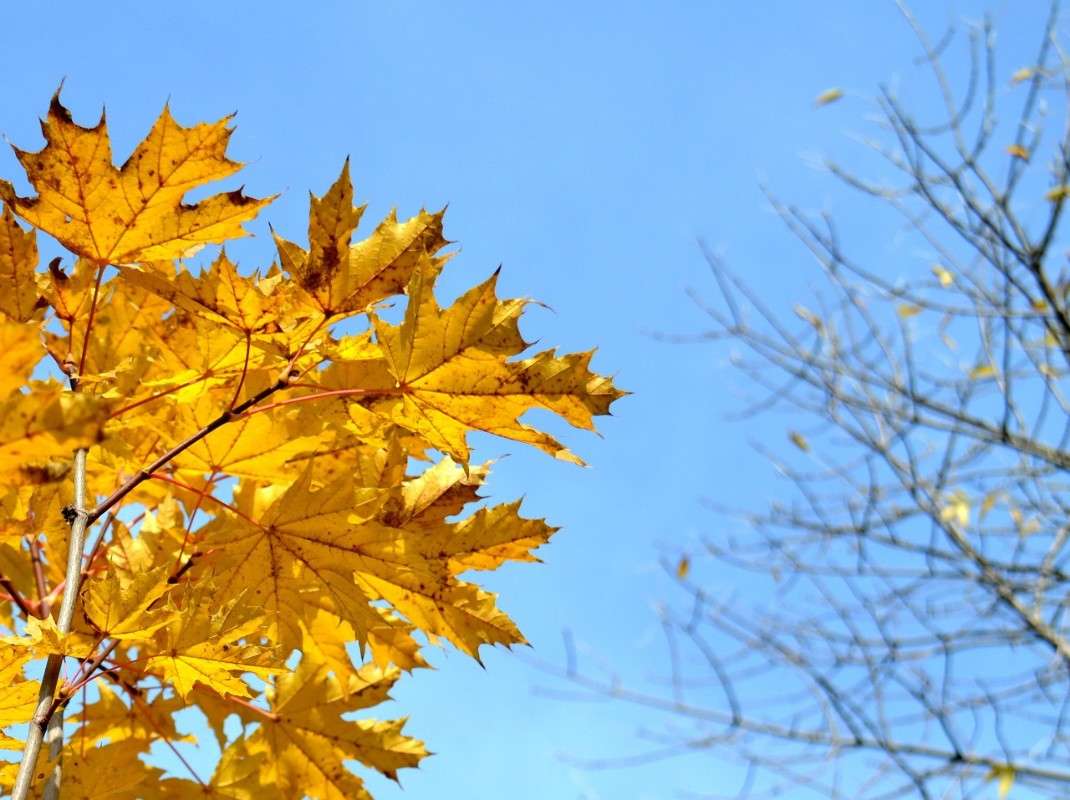 ������� ���� ����� ����� ���� �� PhotoGeek.ru #������ ��� �������