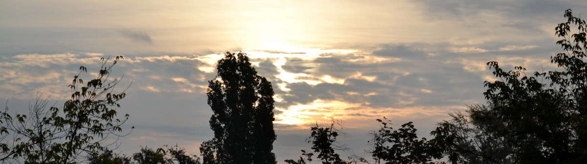 �� ������� ���������� ����� ����� ���� �� PhotoGeek.ru #������ ��� ������� #��������