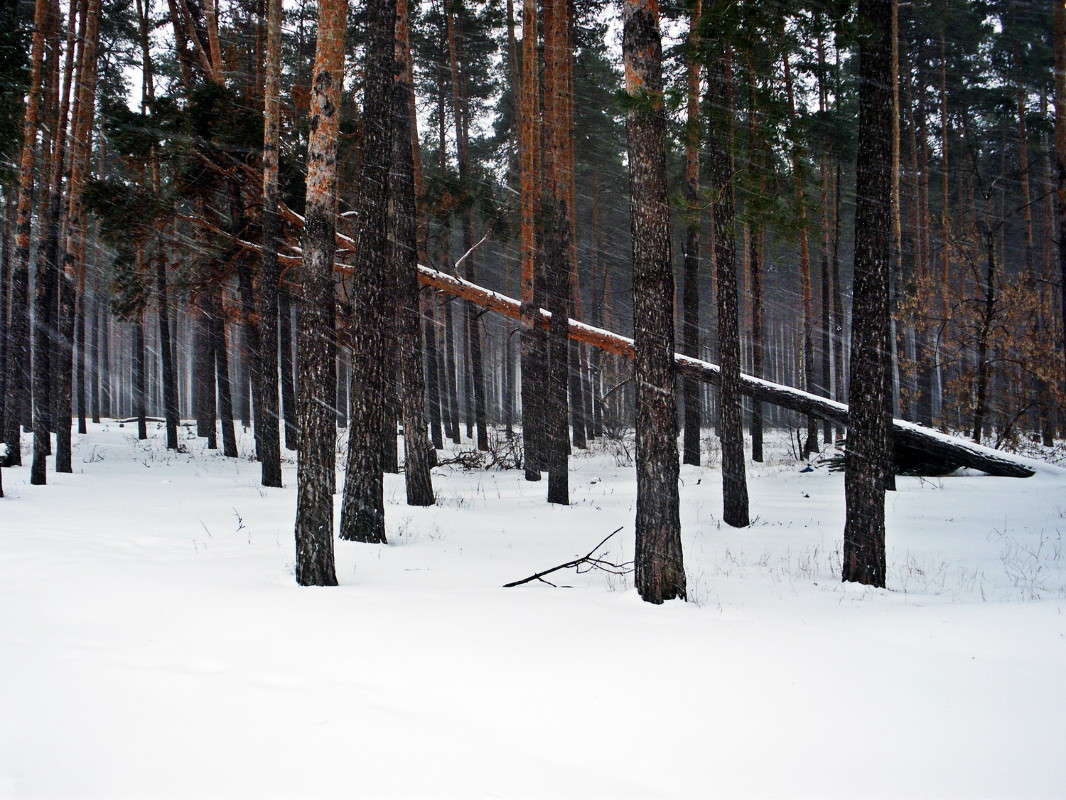 ������� ����� ����� ���� �� PhotoGeek.ru #������ ��� �������