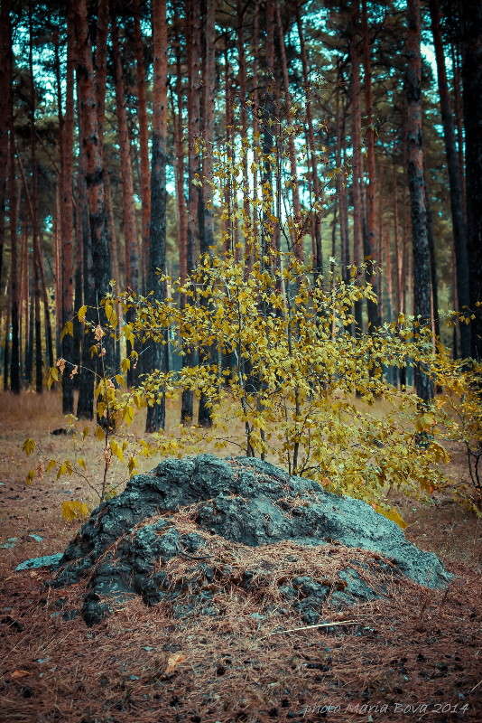 ����� �� �������� ����� ����� ���� �� PhotoGeek.ru #������ ��� ������� #����� ��������������