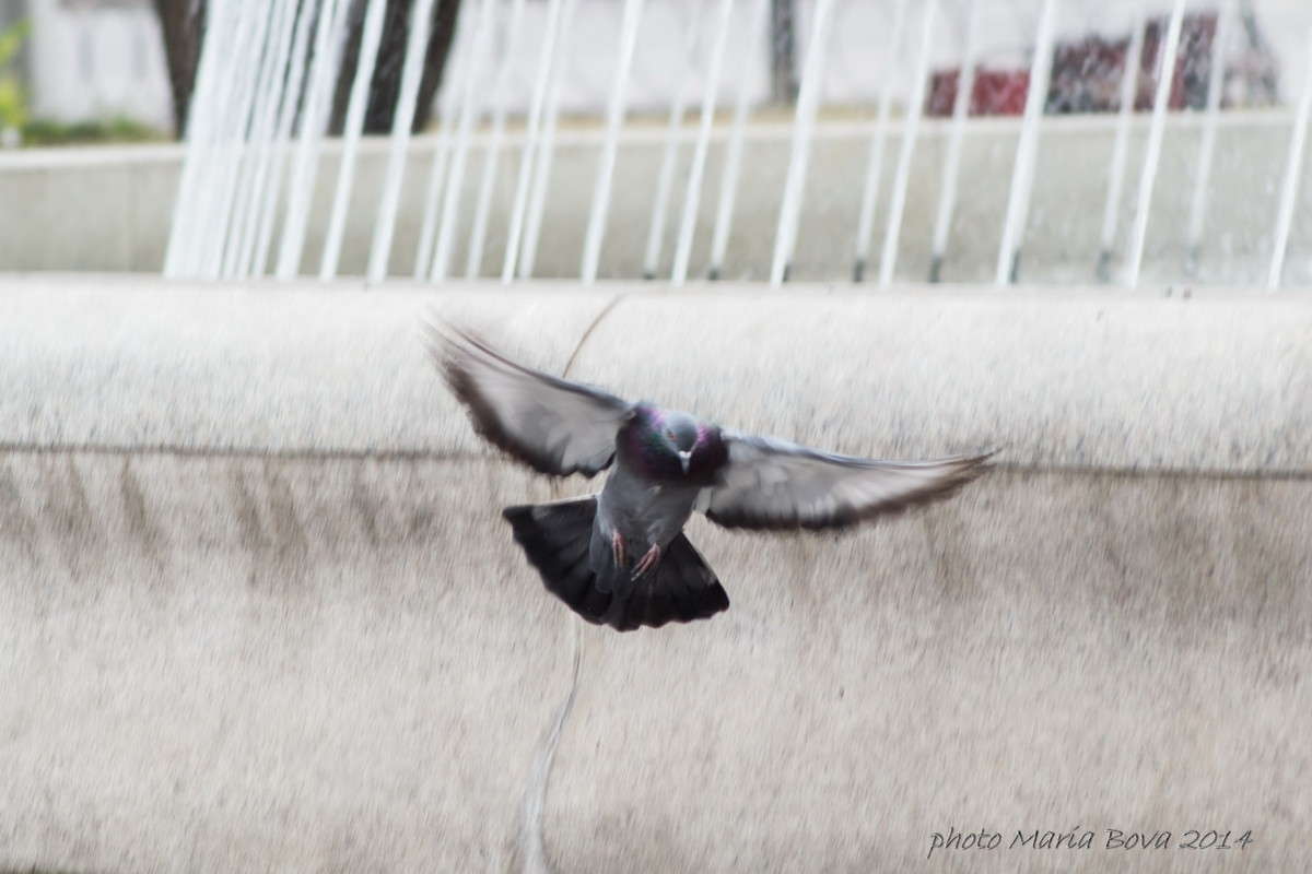 �� ������� ����� ����� ���� �� PhotoGeek.ru #�������� ���