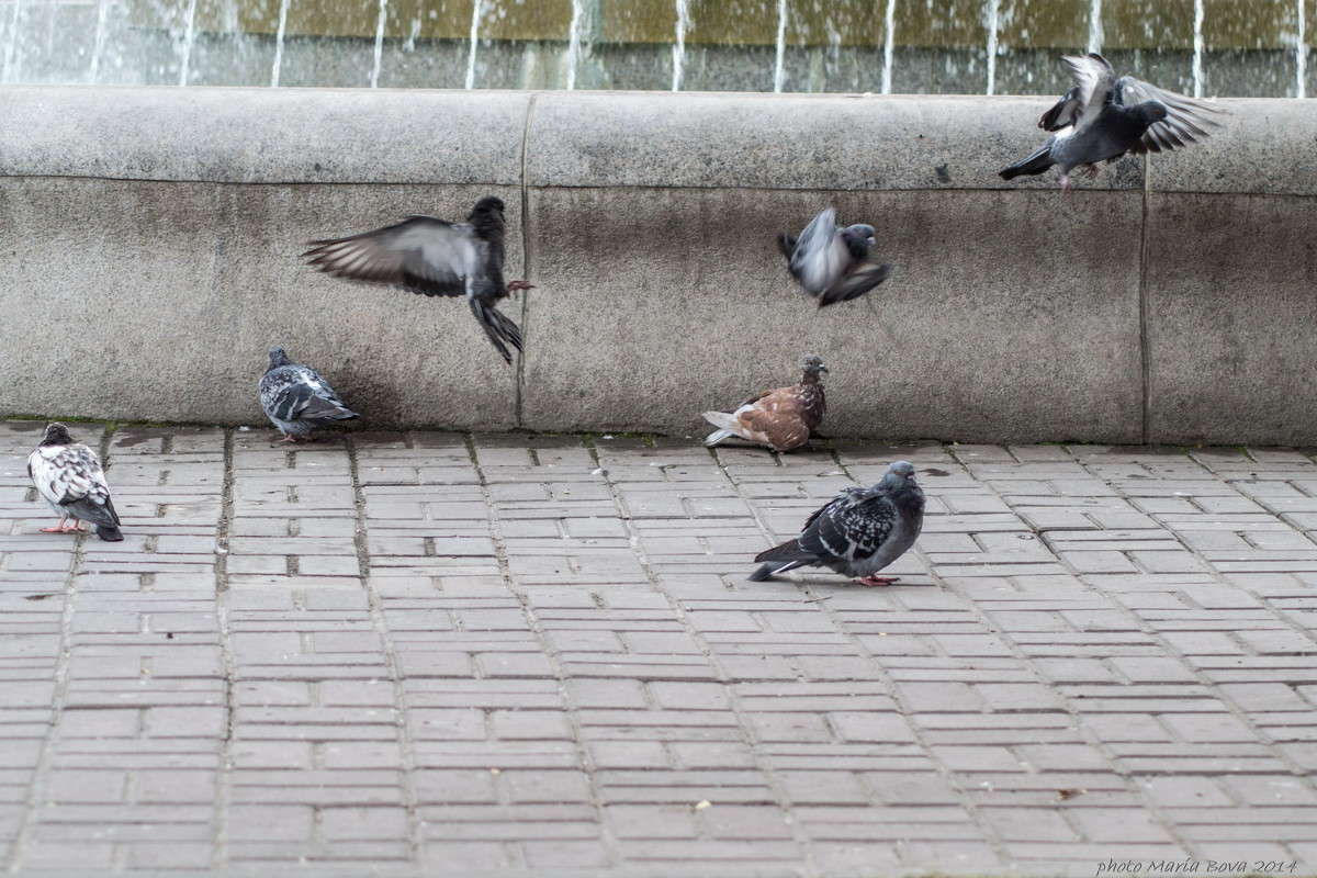 ���������� ����������� ����� ����� ���� �� PhotoGeek.ru #�������� ���