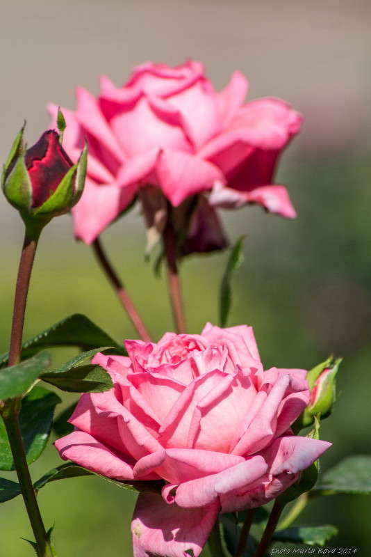 ������� ����...���... ����� ����� ���� �� PhotoGeek.ru #������ ��� ������� #����� ��������������