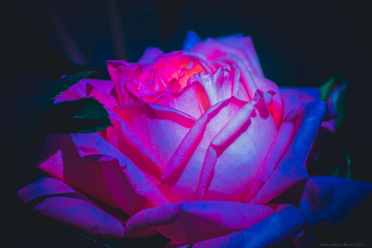 ��������� �������� ����� ����� ���� �� PhotoGeek.ru #������ ��� ������� #����� ��������������