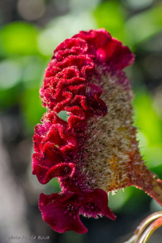 �������� ����� ����� ���� �� PhotoGeek.ru #������ ��� ������� #����� ��������������