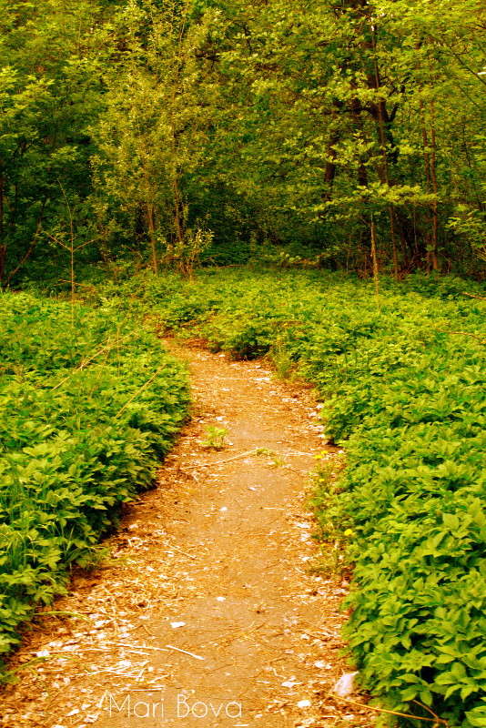 ���������� �������� ����� ����� ���� �� PhotoGeek.ru #������ ��� ������� #����� ��������������