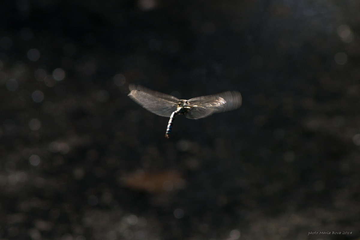 ������� ����� ����� ����� ���� �� PhotoGeek.ru #����� #���������