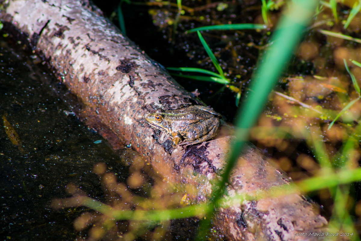 � �������� ������ ����� ����� ���� �� PhotoGeek.ru #�������� ���