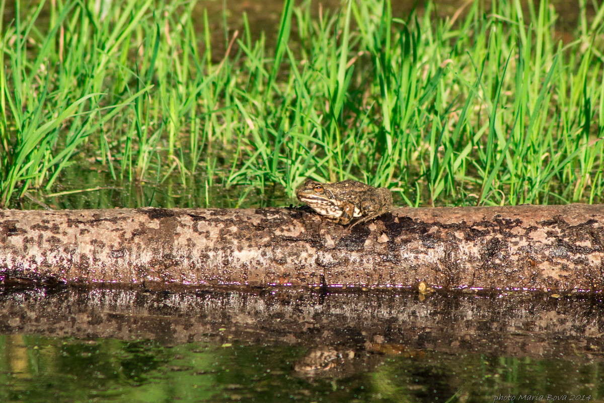 � �������� ��������� ����� ����� ���� �� PhotoGeek.ru #�������� ���