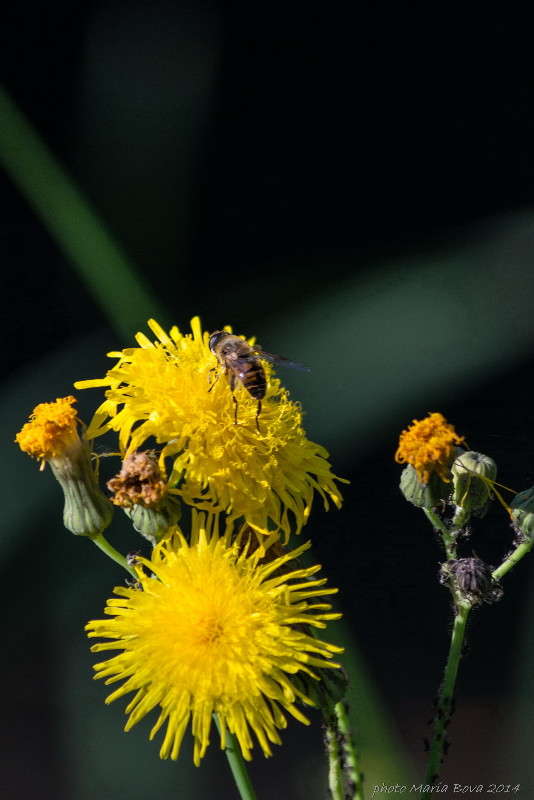 �������� ������ ����� ����� ���� �� PhotoGeek.ru #����� #����� �������������� #���������