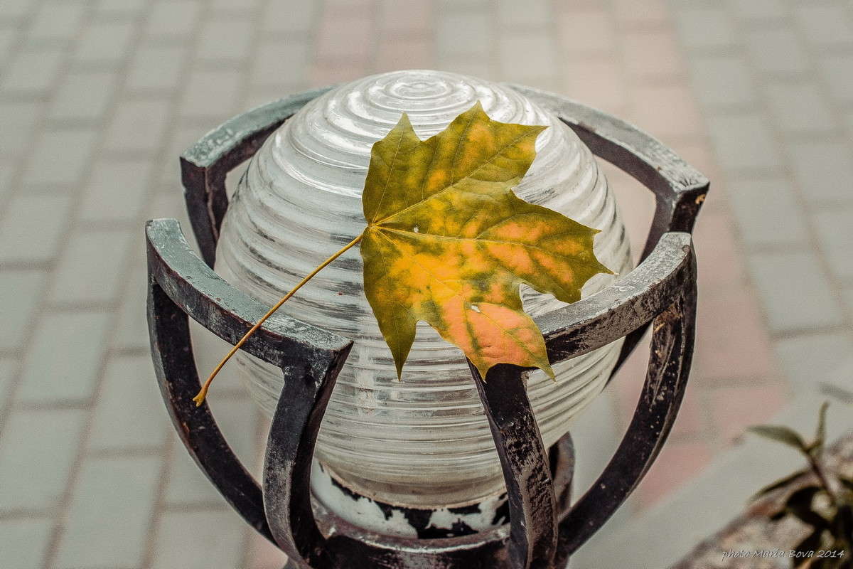 ... ����� ����� ���� �� PhotoGeek.ru #������ ��� �������