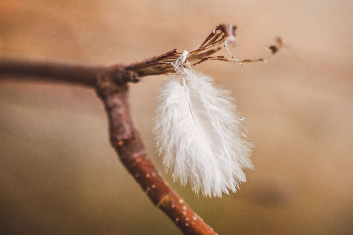 ��� ����? ����� ����� ���� �� PhotoGeek.ru #����� #�������� ���