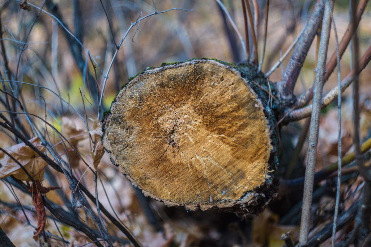 ������ ���� ����� ����� ���� �� PhotoGeek.ru #������ ��� �������