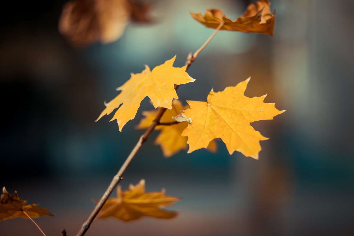 ... ����� ����� ���� �� PhotoGeek.ru #������ ��� �������