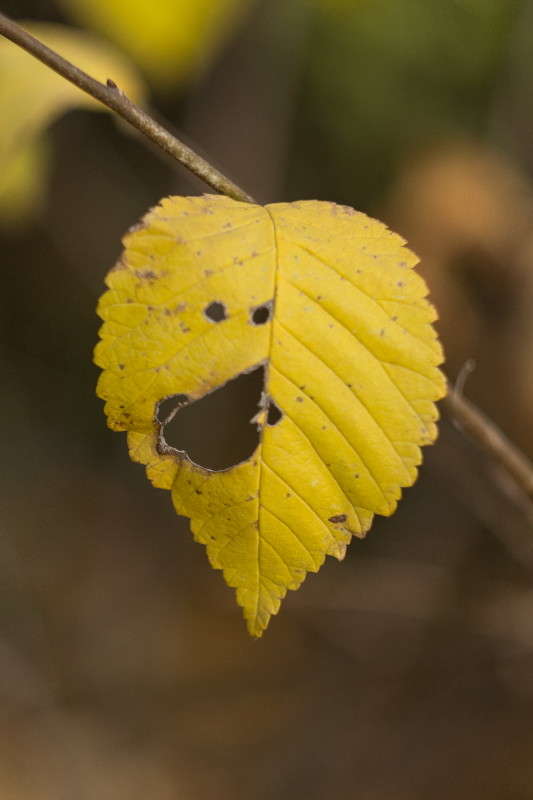 ������� ���� ����� ����� ���� �� PhotoGeek.ru #������ ��� �������