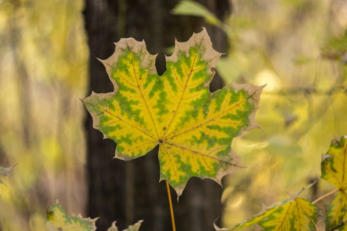 ... ����� ����� ���� �� PhotoGeek.ru #������ ��� �������