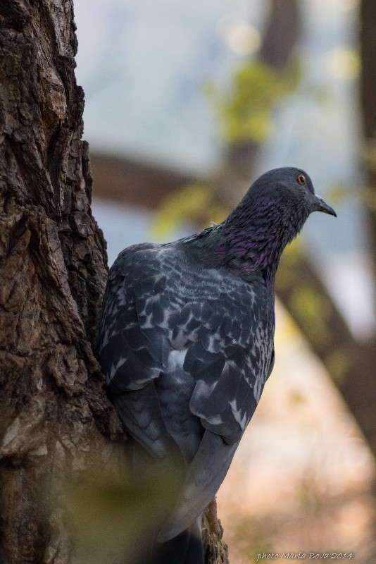 ����������� ����� ����� ���� �� PhotoGeek.ru #�������� ���