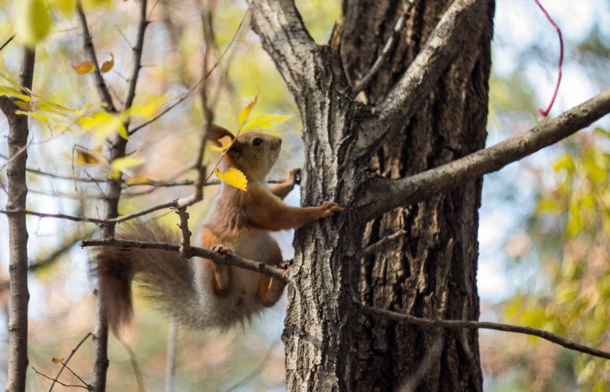 ������ ����... ����� ����� ���� �� PhotoGeek.ru #�������� ��� #����� ��� ��� ���������