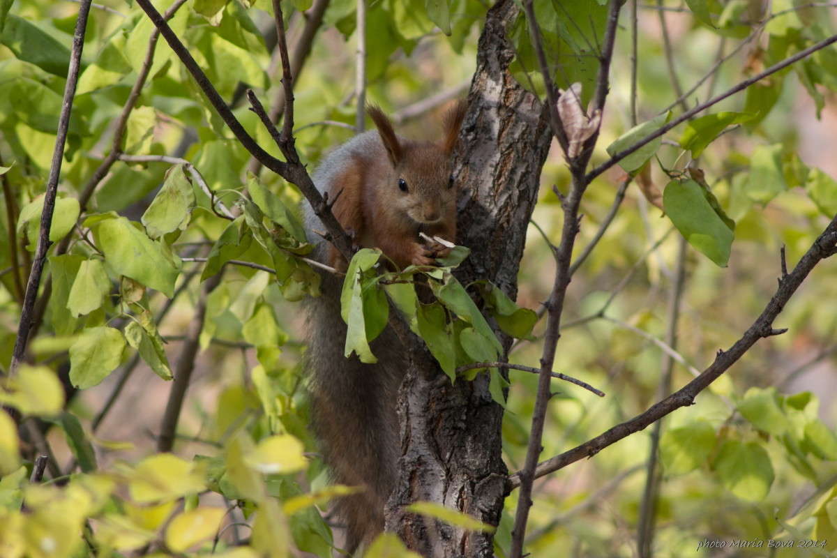 ... ����� ����� ���� �� PhotoGeek.ru #�������� ��� #����� ��� ��� ���������