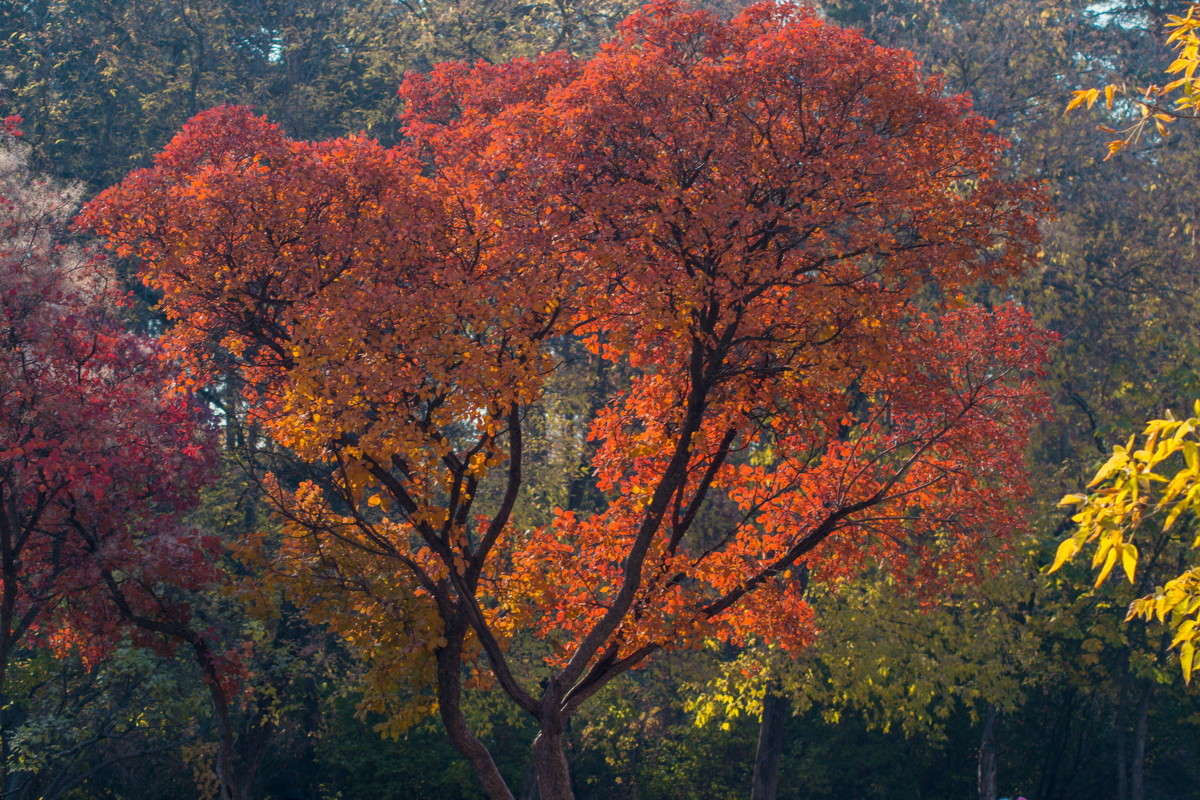 ������� ������� ����� ����� ���� �� PhotoGeek.ru #������ ��� �������