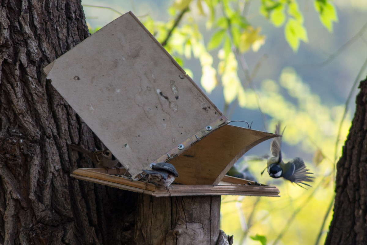 ������ ������! ����� ����� ���� �� PhotoGeek.ru #�������� ���