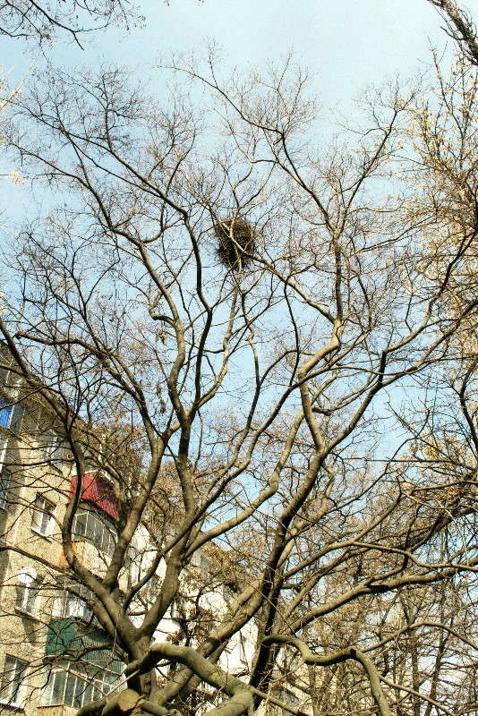 ... ����� ����� ���� �� PhotoGeek.ru #������ ��� �������