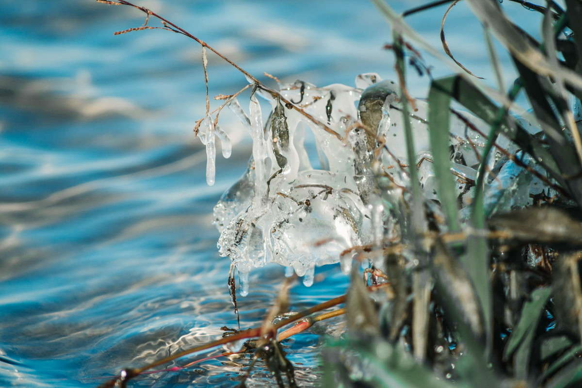 ... ����� ����� ���� �� PhotoGeek.ru #������ ��� �������