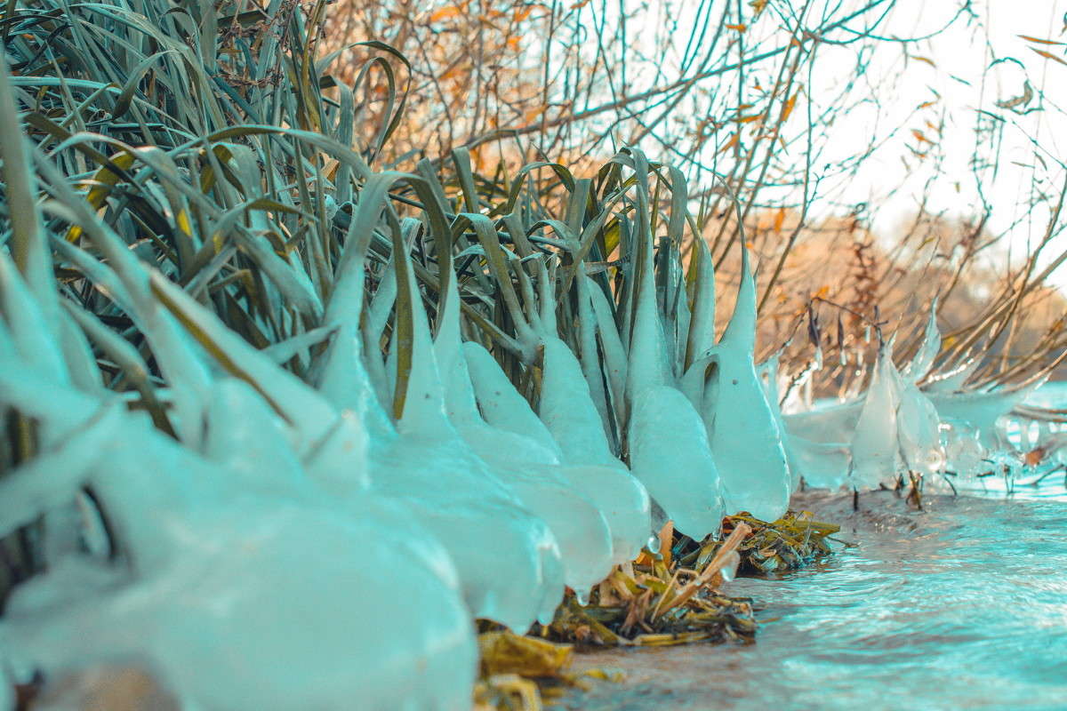 ������ �������� ����� ����� ���� �� PhotoGeek.ru #������ ��� �������