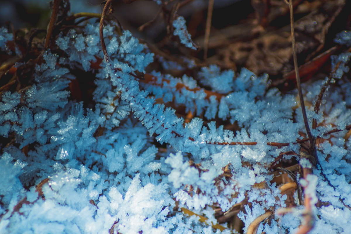 �����-��������! ����� ����� ���� �� PhotoGeek.ru #����� #������ ��� �������