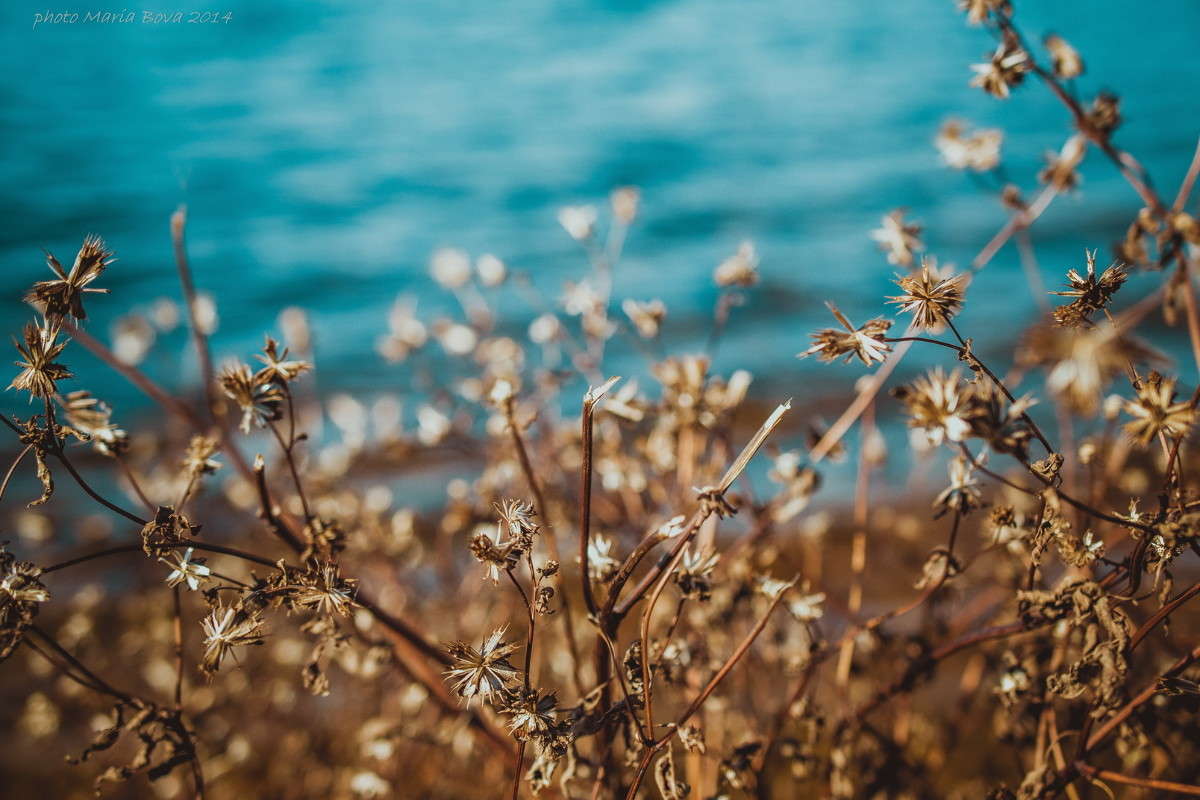 �������� � ���� ����� ����� ���� �� PhotoGeek.ru #����� #������ ��� �������