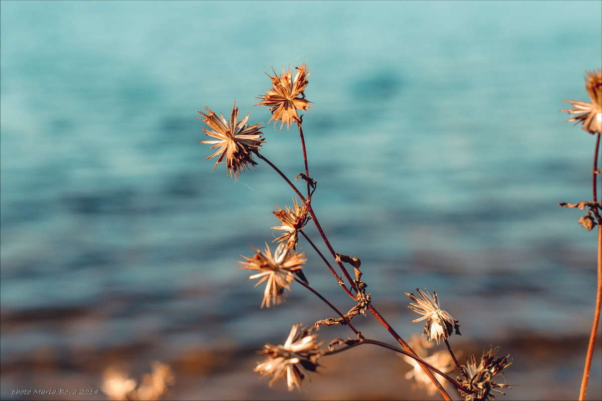 ... ����� ����� ���� �� PhotoGeek.ru #����� #������ ��� �������