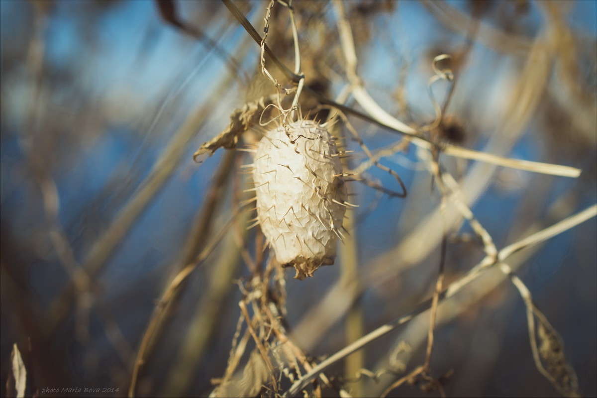 ������� � ������� ����� ����� ���� �� PhotoGeek.ru #����� #������ ��� �������