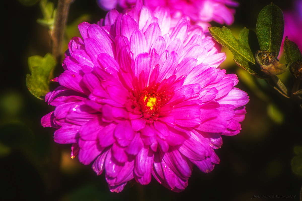 ������������ � ���� ����� ����� ���� �� PhotoGeek.ru #����� #������ ��� �������