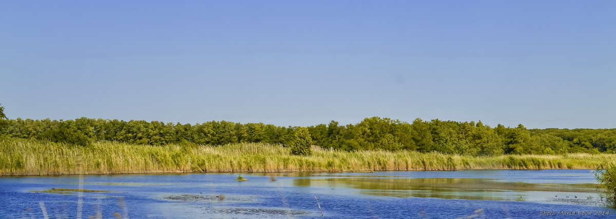 ������ ������ ��� ������! ����� ����� ���� �� PhotoGeek.ru #������ ��� �������