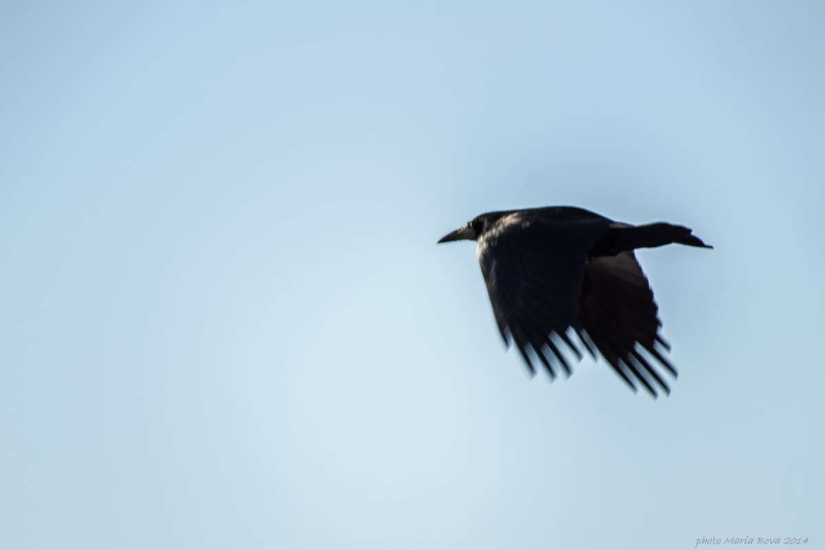 ���� ��������� ����� ����� ���� �� PhotoGeek.ru #�������� ���