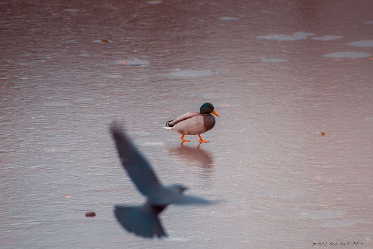 �������� ����� ����� ���� �� PhotoGeek.ru #�������� ���